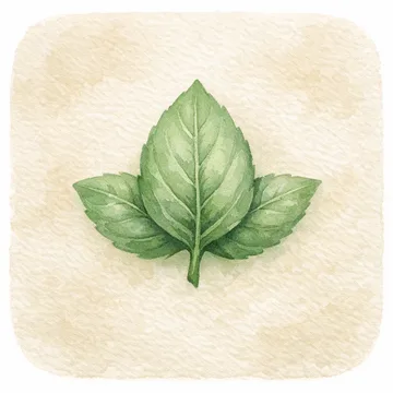 SousChef icon concept explored and dropped: Leaf, painted.